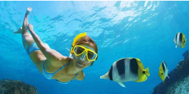 Ocean Paradise Ocean Paradise